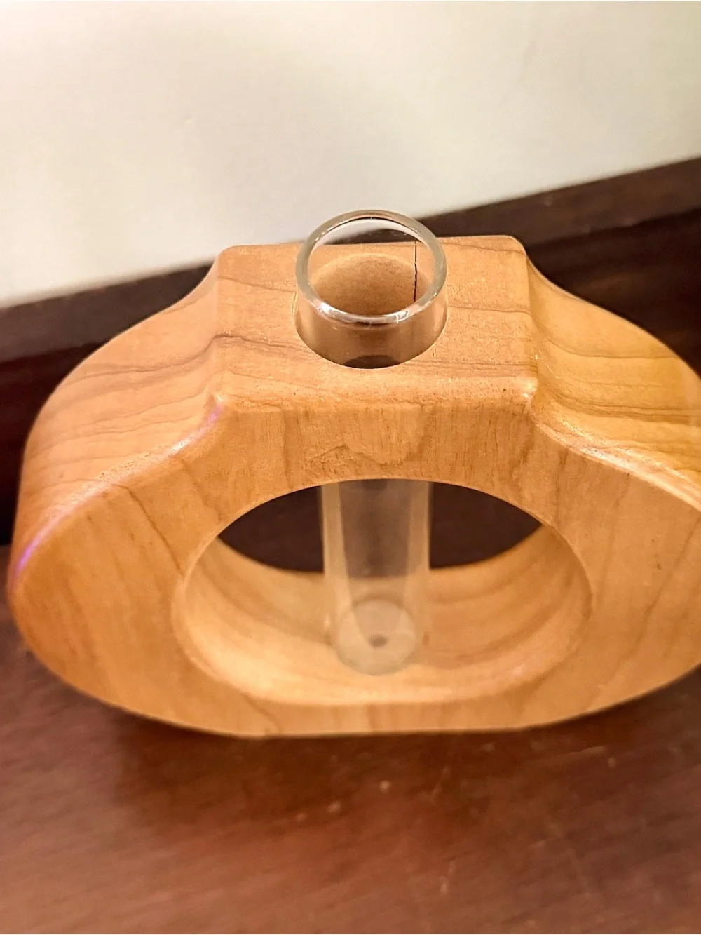 Test Tube Propagation Wood Carved Circle Vase Wall Hanging Shelf Sitting Boho